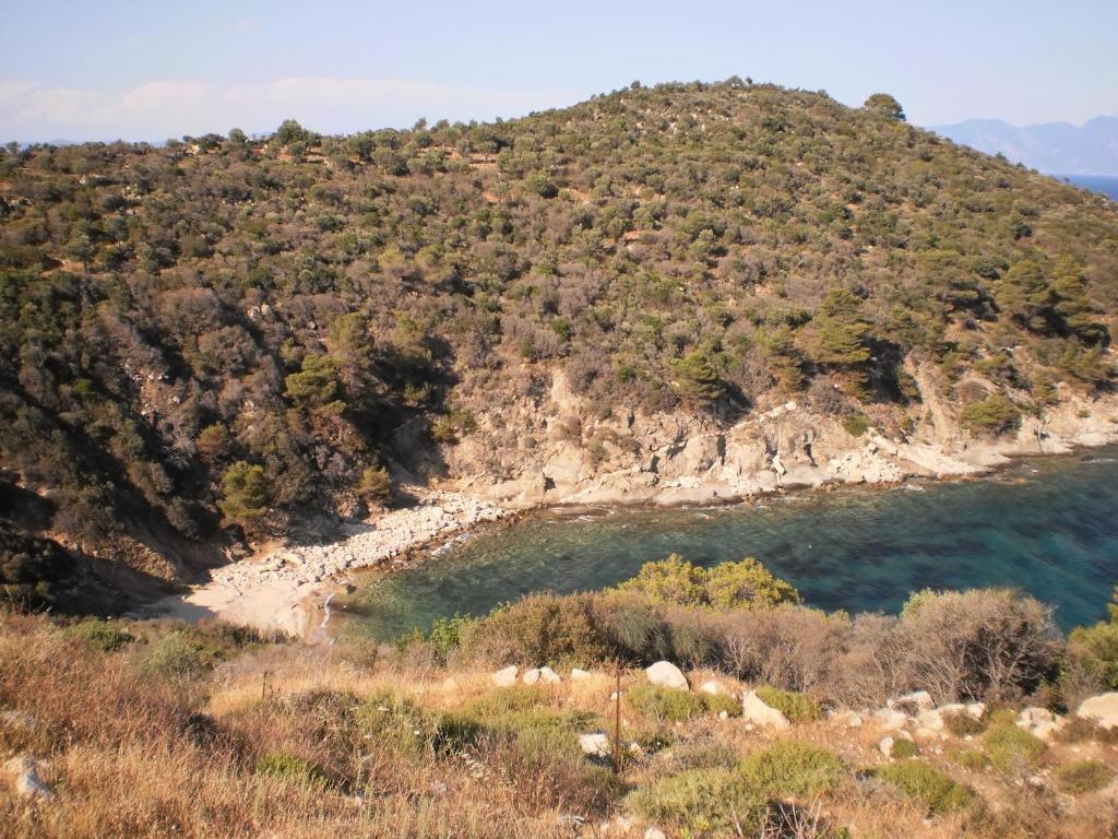 Vergina Pension サルティ エクステリア 写真